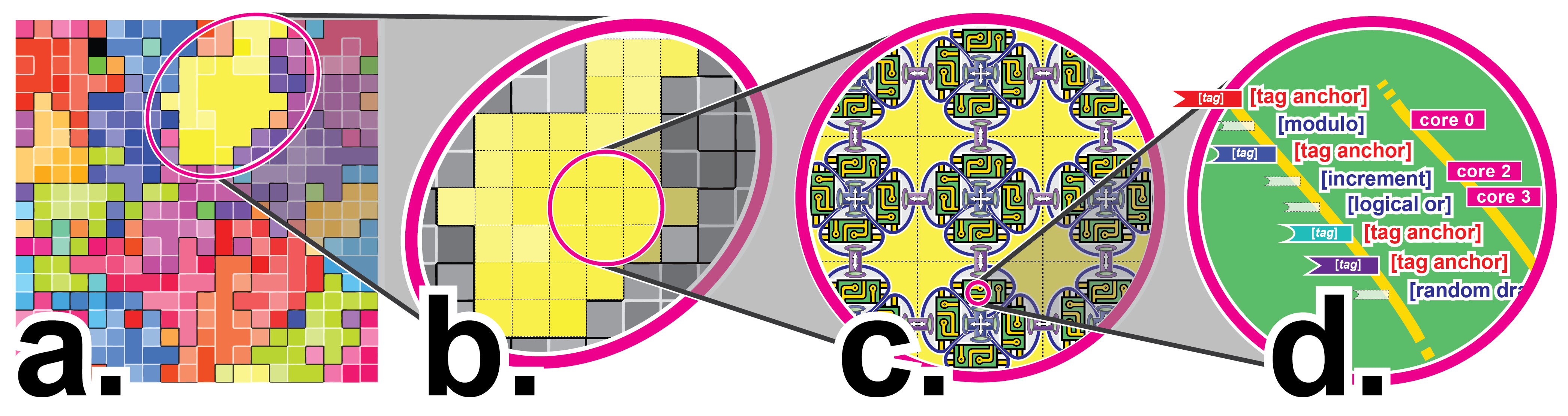 Overview of DISHTINY system. Cells occupy slots on a toridal grid (Subfigurea). As cells reproduce, they may grow their existing kin group(shown here by color) or splinter off to found new ones. Each cell, shown here bounded within black squares, is controlled by four virtual CPUs, referred to as“cardinals” and shown here within triangles (Subfigureb). Cardinals within a cell can interact via message passing (blue conduits). Cardinals can interact withthe corresponding cardinal in their neighboring cell through message passing or simulation intrinsics (i.e., resource sharing, offspring spawning, etc.), repre-sented here by purple conduits. These inter-cell interactions may span physical hardware threads or processes. All virtual CPUs within a cell independentlyexecute the same linear genetic program (Subfigurec). Tagged subsections of this linear genetic program (“modules”) activate in response to stimuli.